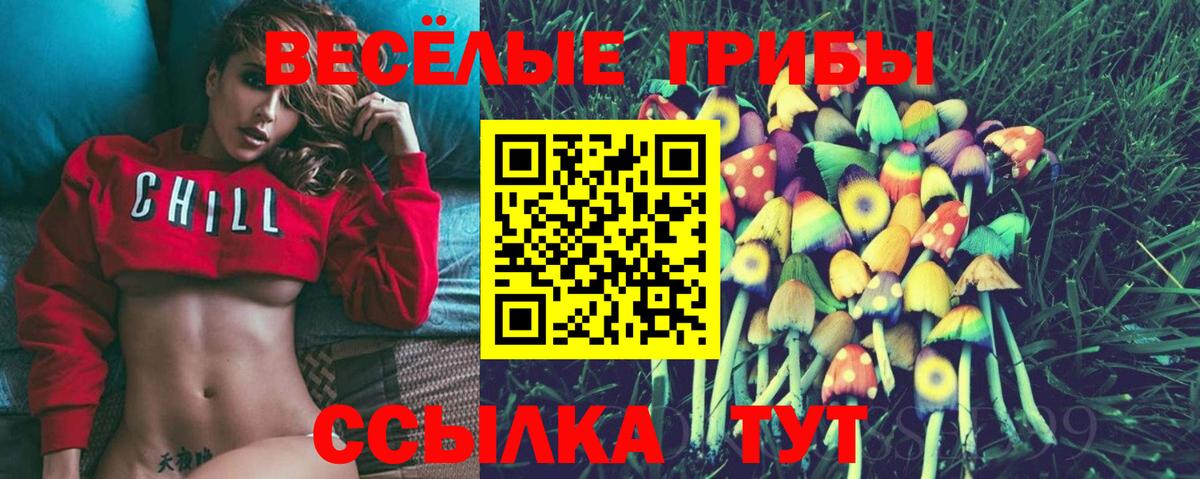 Галлюциногенные грибы Psilocybine cubensis Еманжелинск